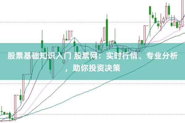 股票基础知识入门 股票网：实时行情、专业分析，助你投资决策