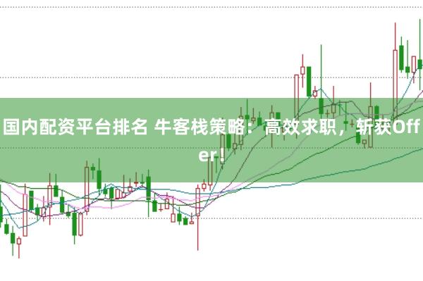 国内配资平台排名 牛客栈策略：高效求职，斩获Offer！