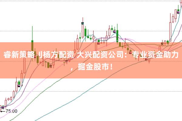 睿新策略刂杨方配资 大兴配资公司：专业资金助力，掘金股市！