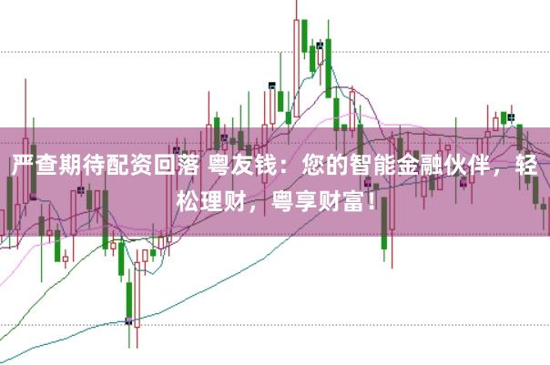 严查期待配资回落 粤友钱：您的智能金融伙伴，轻松理财，粤享财富！