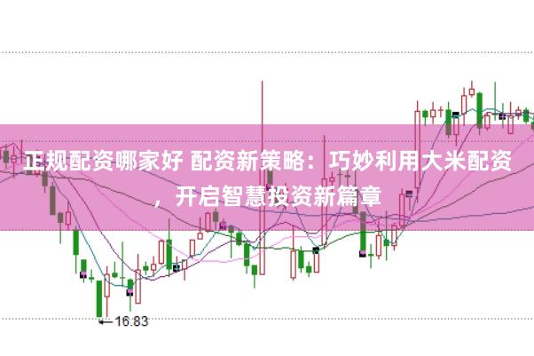 正规配资哪家好 配资新策略：巧妙利用大米配资，开启智慧投资新篇章