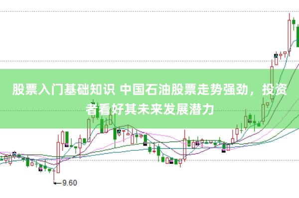 股票入门基础知识 中国石油股票走势强劲，投资者看好其未来发展潜力