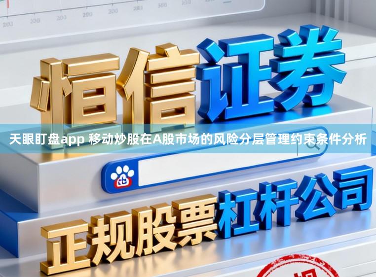 天眼盯盘app 移动炒股在A股市场的风险分层管理约束条件分析